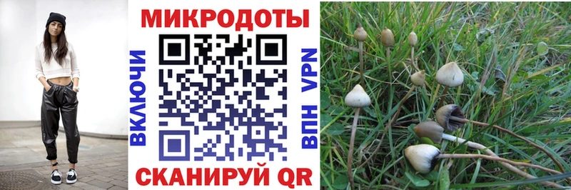 что такое   Озёры  Псилоцибиновые грибы мухоморы 